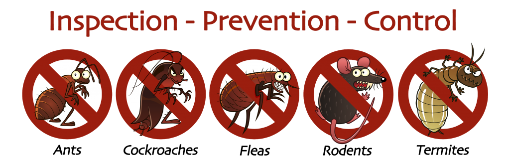 best pest control manchester